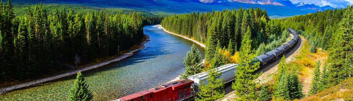 Train and traintracks travelling through forested area