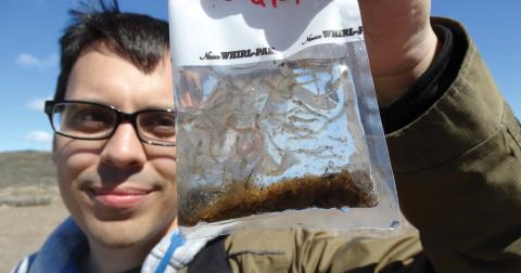 Andrew Medeiros holding aloft a clear bag with a water sample from an Arctic source. The sample is full of Chaoborus.