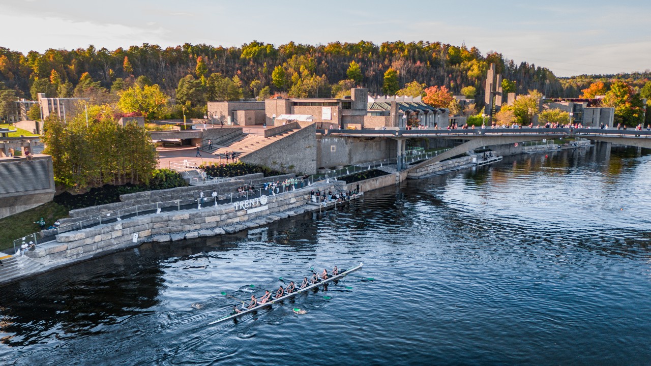 An aerial view of the restored shoreline