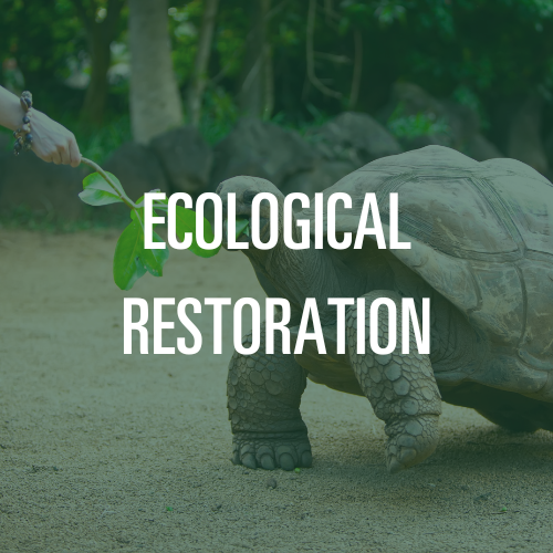 Ecological Restoration Major Thumbnail