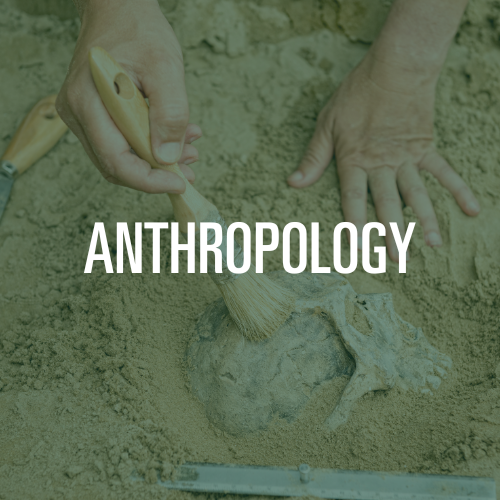 Anthropology Major