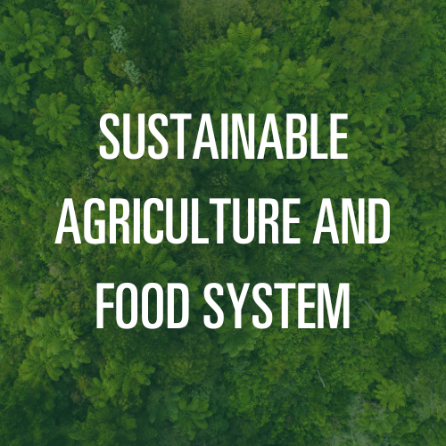 Sustainable Agriculture and Food Systems Major Thumbnail