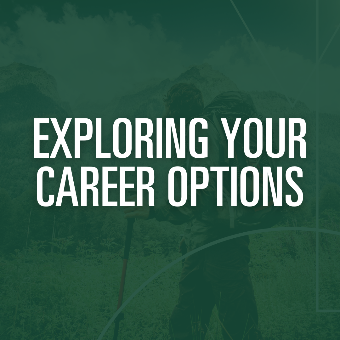 Exploring your career options