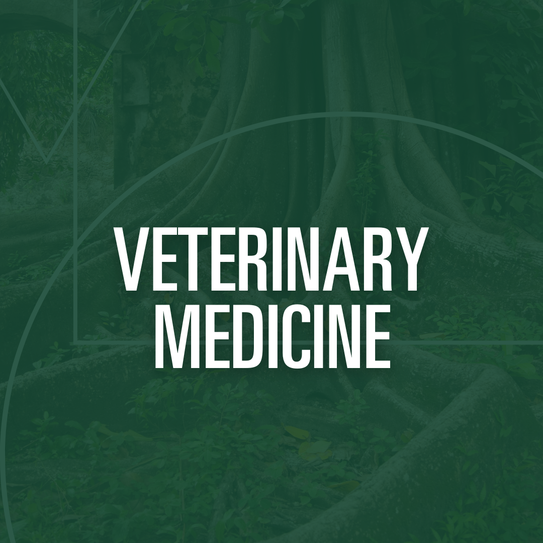 Veterinary Medicine