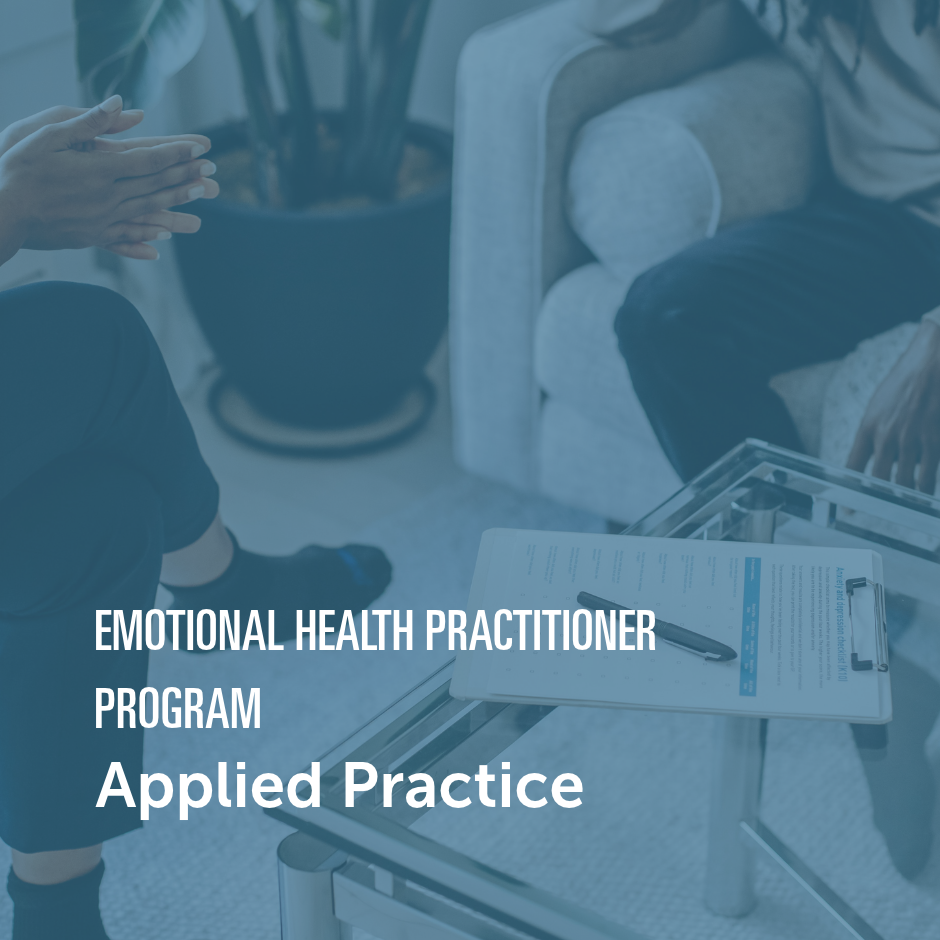 Practitioner developing professional skills and client services.