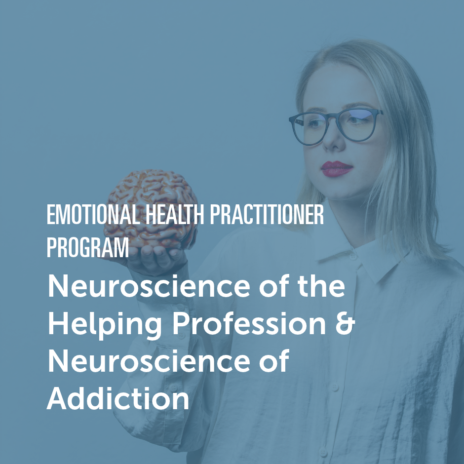 Individual holding a model brain representing neuroscience, helping professions, and addiction studies.