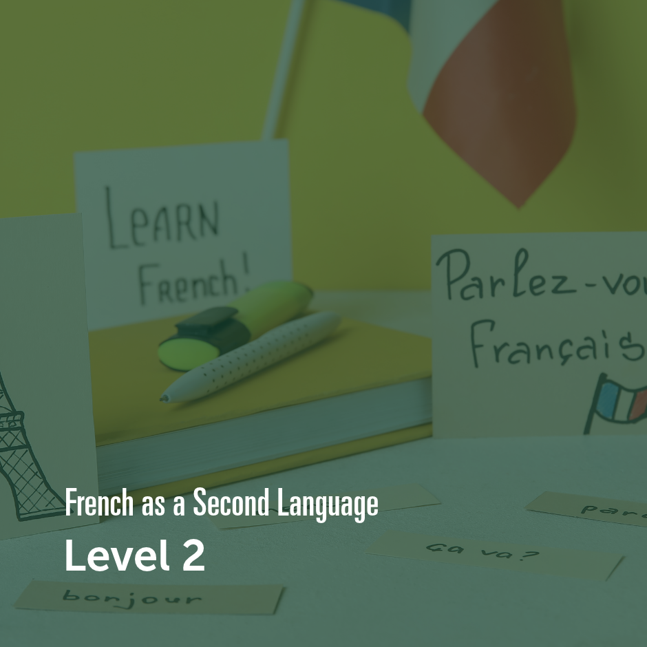 French language learning materials with vocabulary cards, notebooks, and French flag.