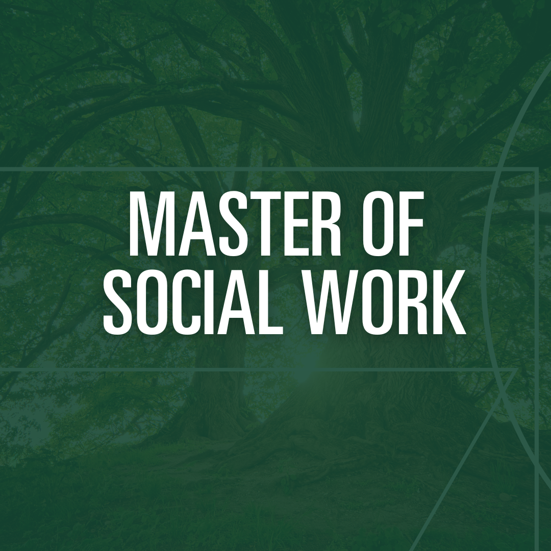 Master of Social Work