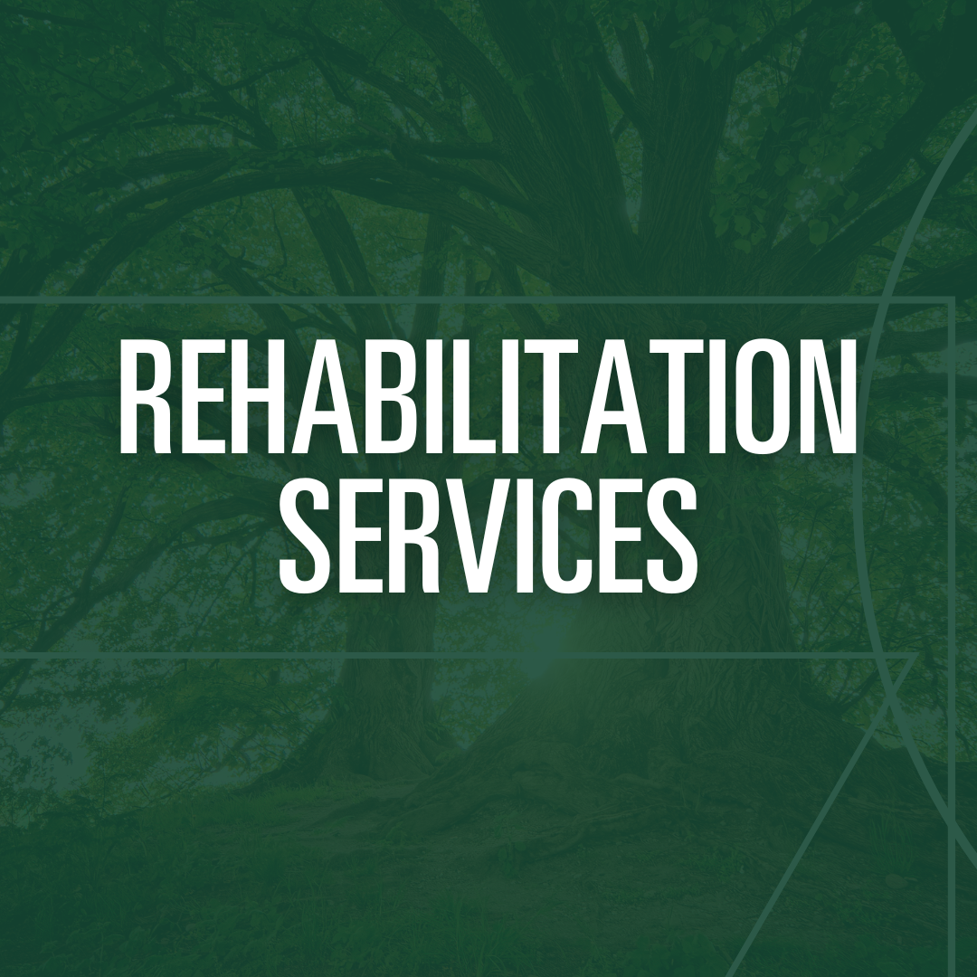 Rehabilitation Services
