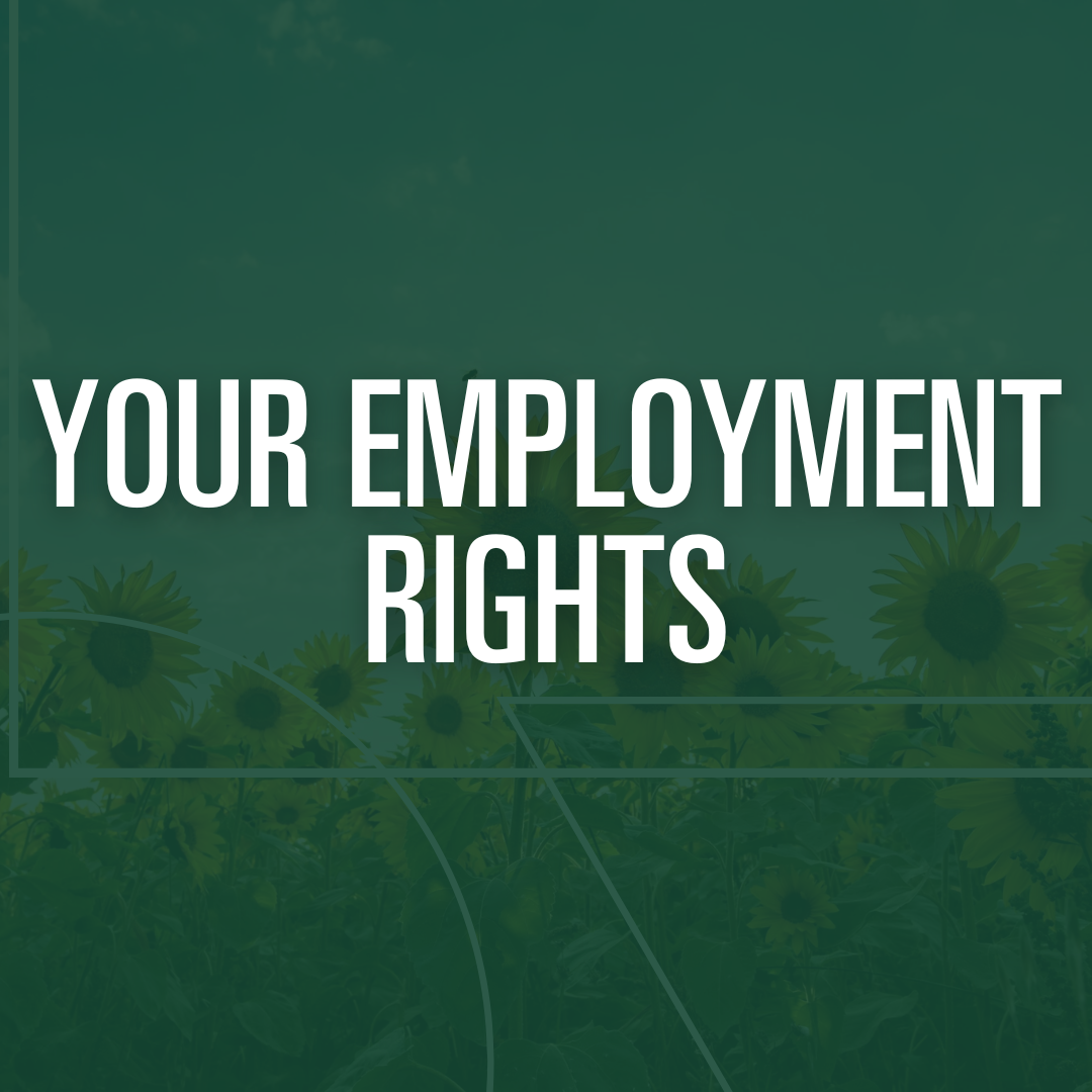 Employment Rights