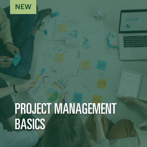 New Project Management Basics