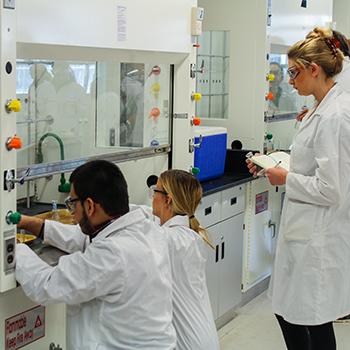 Students in lab