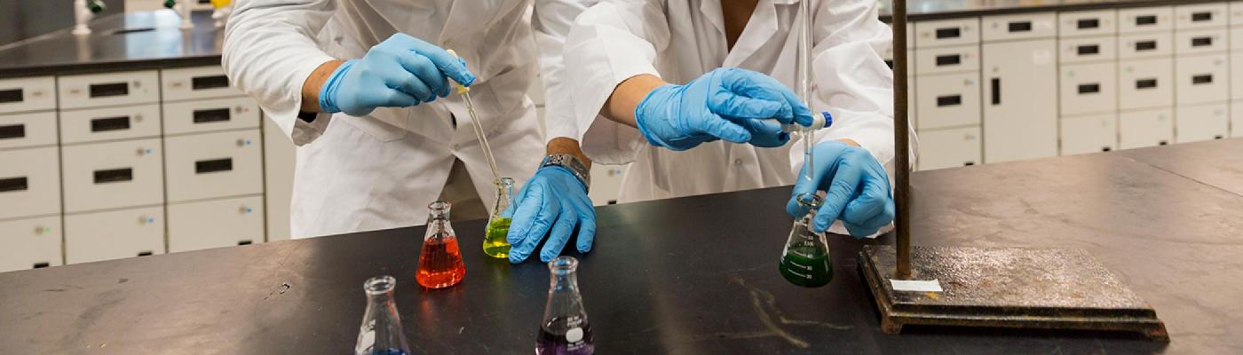 2 Chemistry students working with coloured solutions in Erlenmeyer flasks in a chemistry lab, wearing white lab coats and blue gloves