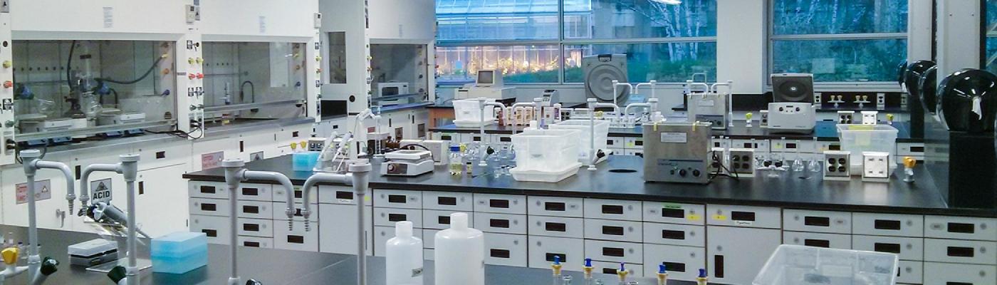 Chemistry laboratory set up with various pieces of equipment on black lab benches with grey cabinets underneath, fumehoods along the side wall