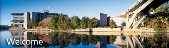 Section Description - picture description