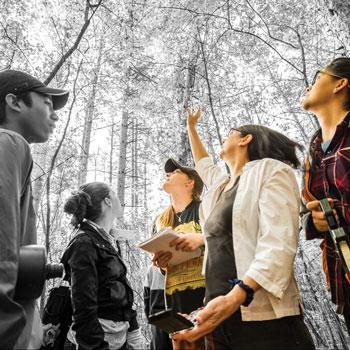 Students exploring a forest
