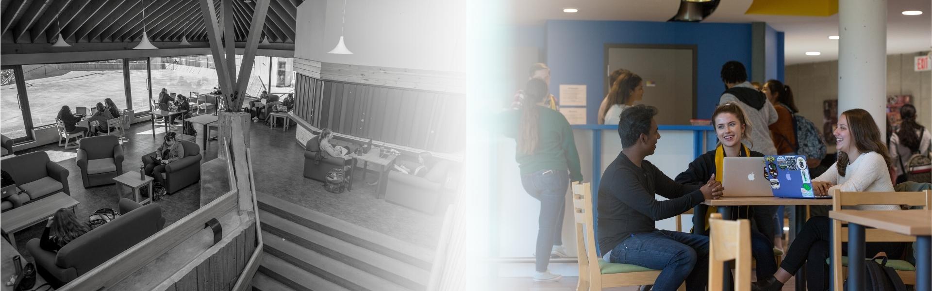 A collage of Otonabee photos