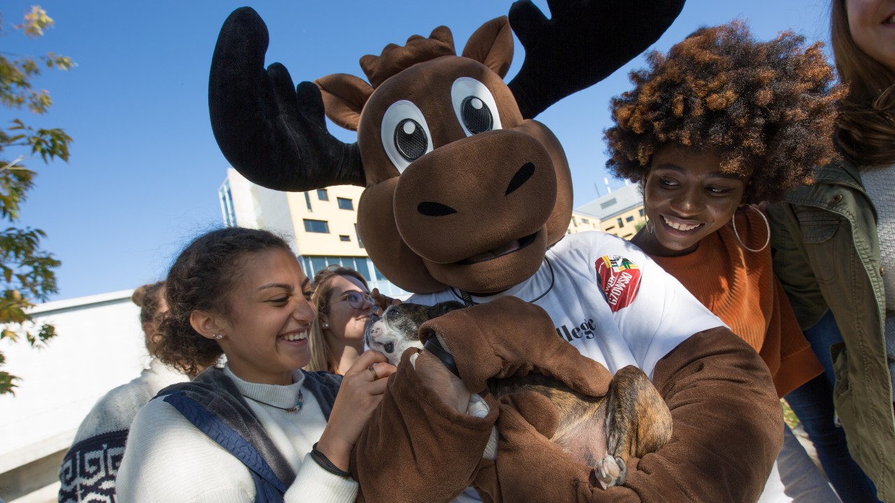 BAMM holding a puppy