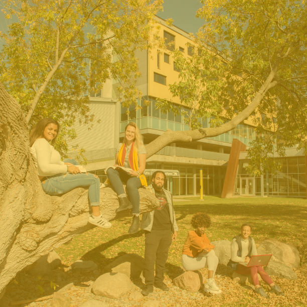 Outdoor photo of students sitting in tree