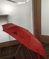 A Gzowski Umbrella