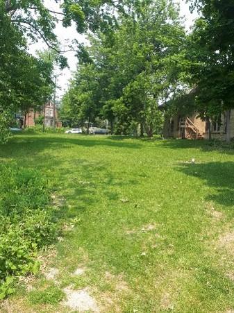 Kerr House Back Lawn