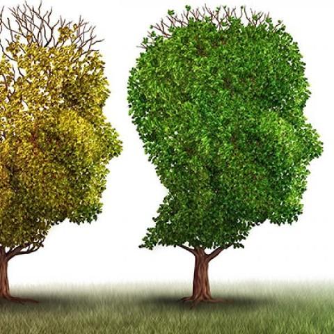 A graphic of trees shaped like heads