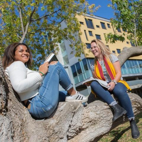 Two students sitting in a tree outside Gzowski College.