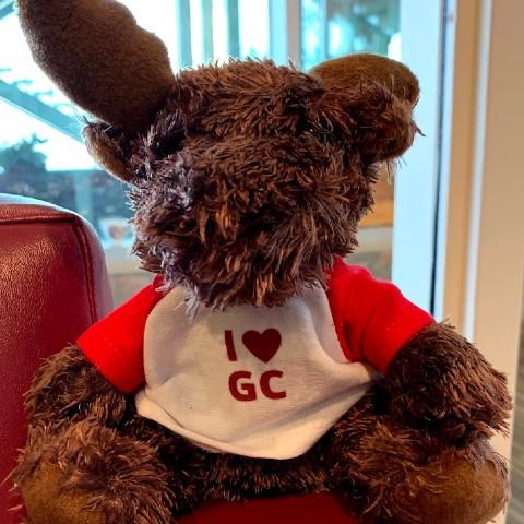 a stuffed bear wearing a T-shirt that says I love GC