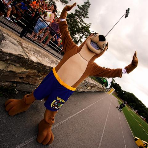 Ottie the Otter, Otonabee College's mascot, at an event at the stadium.
