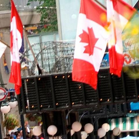 A picture of multiple Canadian flags