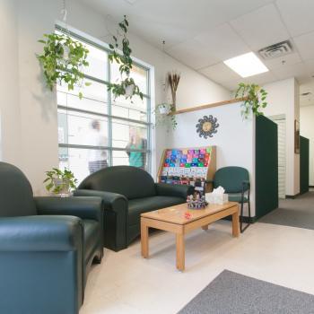 The waiting room at Trent's Counselling Services. There is a large window with several plants hanging in front of it. There is art on the walls and several couches and chairs are arranged around a wooden coffee table.
