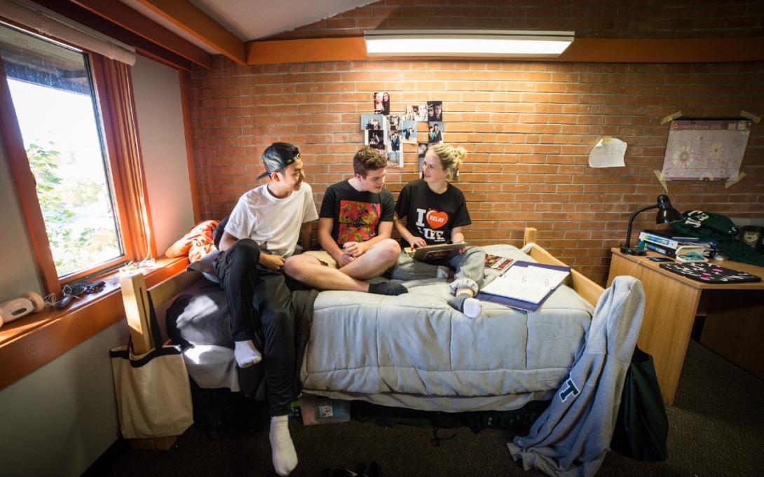 Three students studying together on a bed in a Traill Residence. The wall behind them is exposed brick and there is a window on the left letting in natural light.