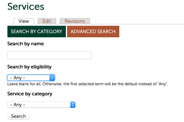 Services advanced search interface