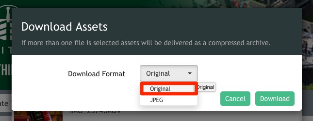 Download video option window, displaying Original or JPEG options, always choose ORIGINAL