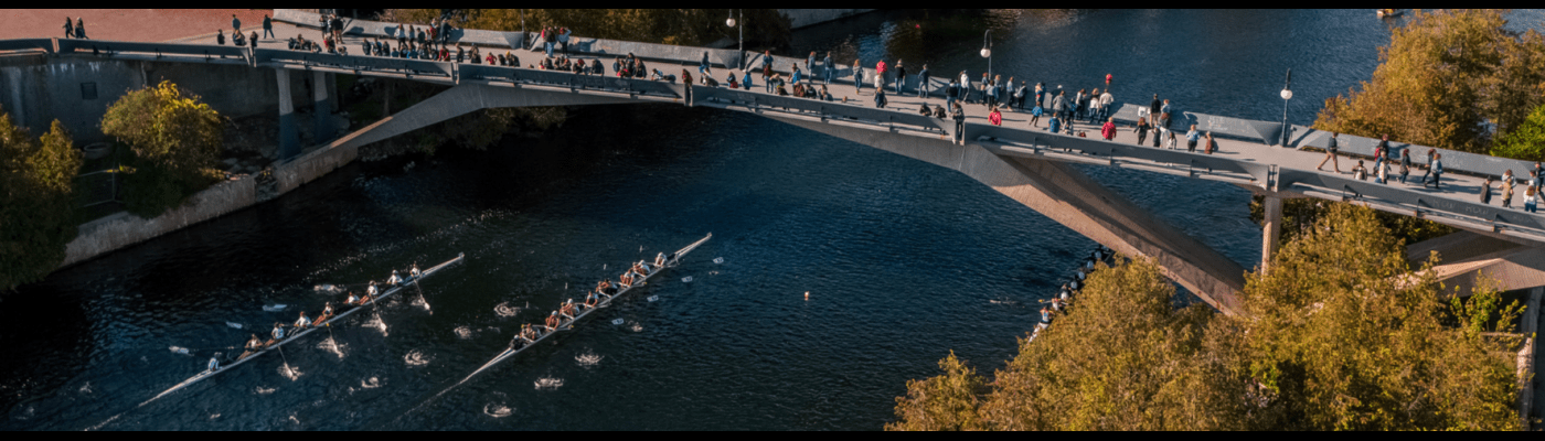 Bridge with students