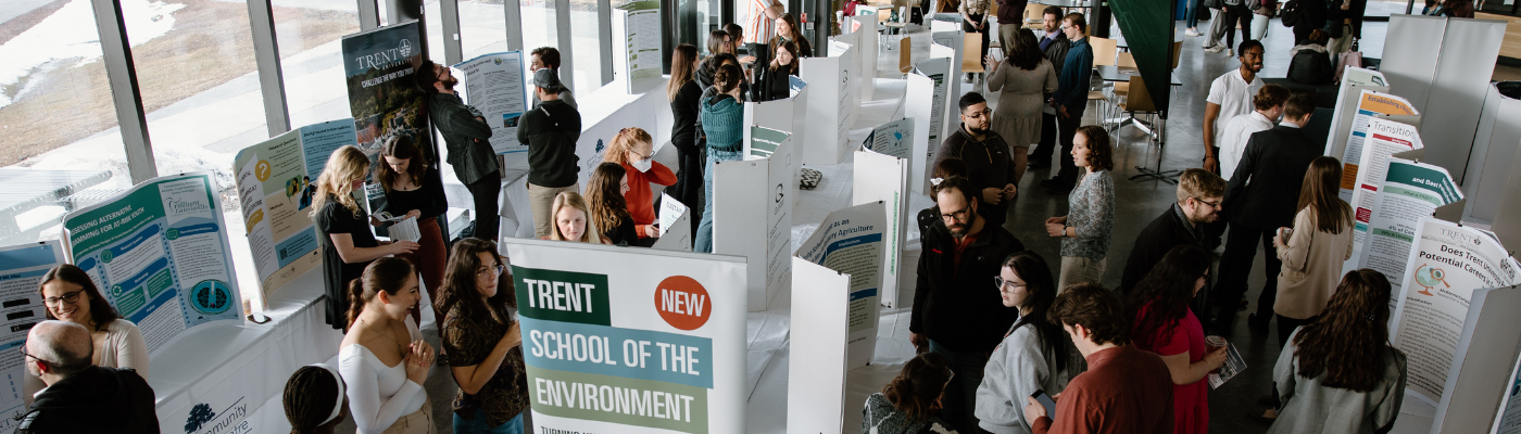 celebration of research