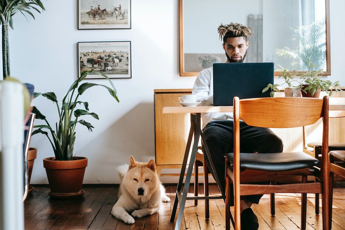 "Student working at desk with dog laying on floor"