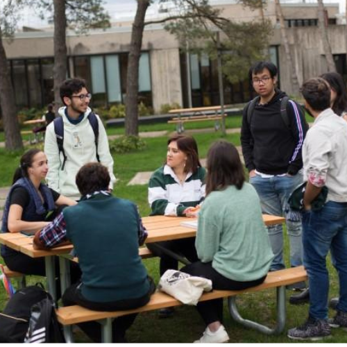 A group of students sitting around a picnic bench outdoors, engaged in conversation and enjoying each other’s company on a sunny day.