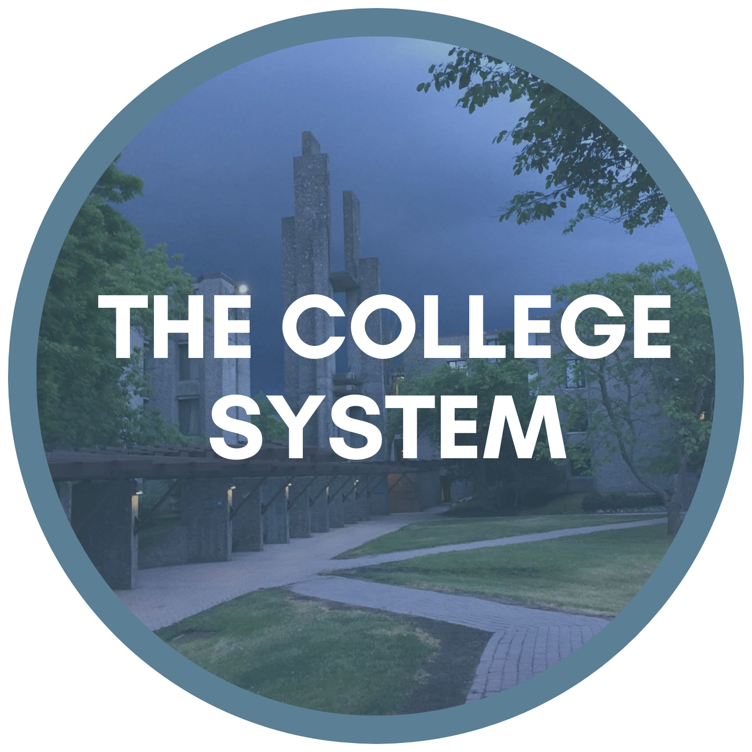 The college system