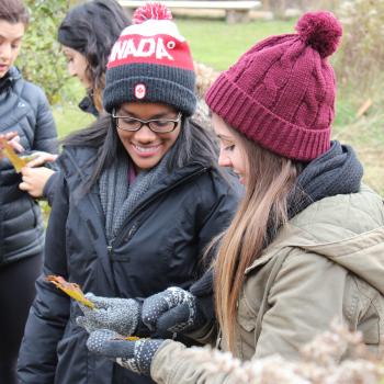 The eco-mentorship program; two girls holding a maple leaf and analyzing it's properties