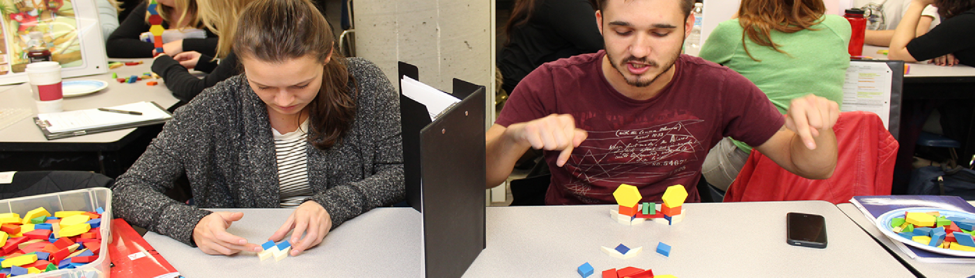 Teacher Candidates playing the math barrier game during class