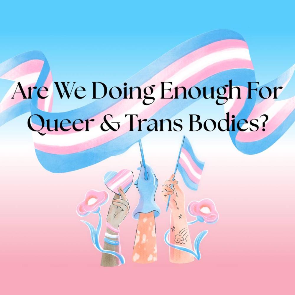 Title over a Transgender flag, with hands below the title holding Transgender flags up. The background matches the colours, with a blue, white, and pink gradient.