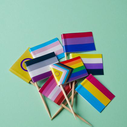 Several small Pride and identity flags displayed together on sticks