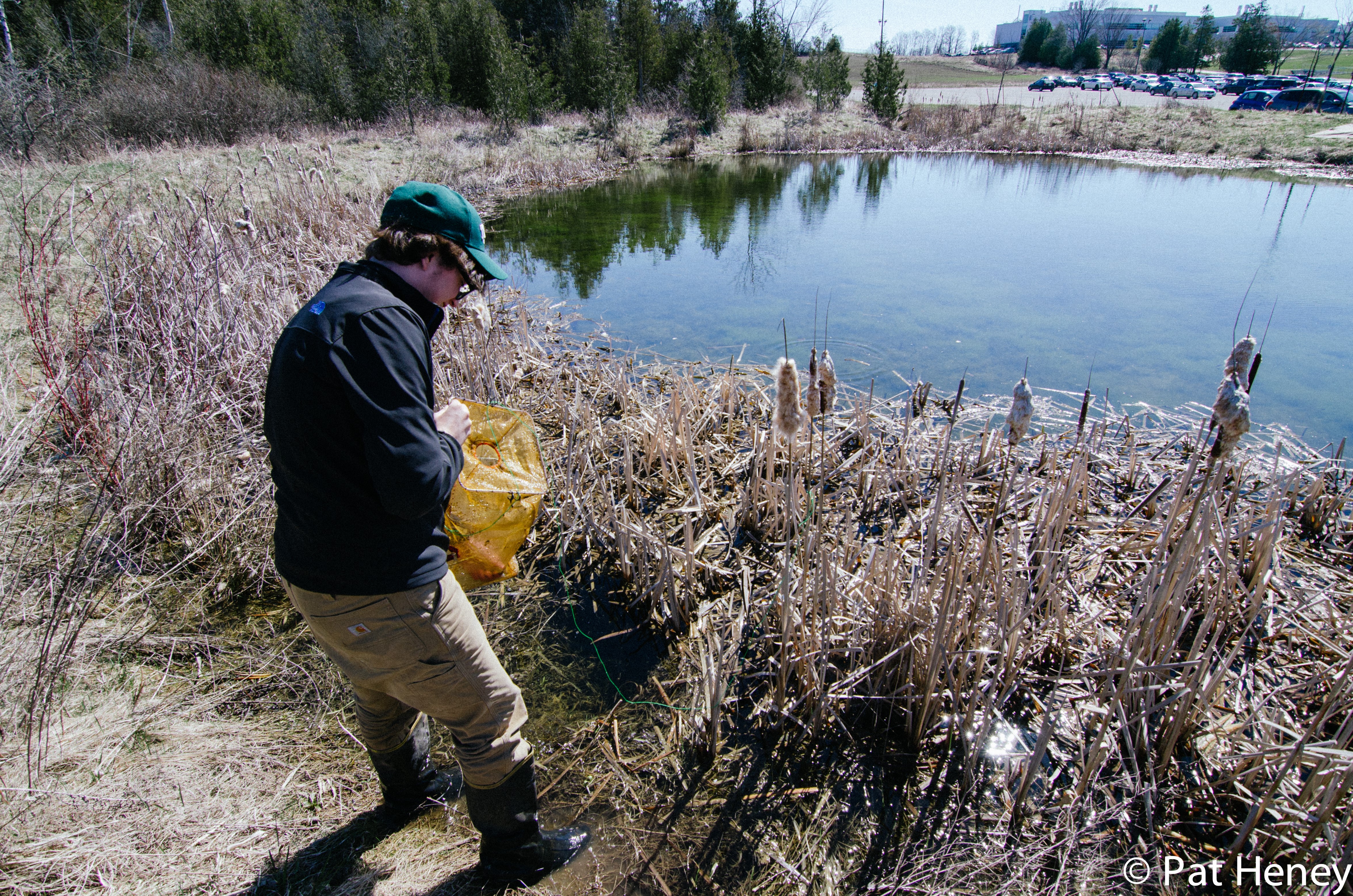 lab student, Jasper, is holding net checking and replacing minnow traps wearing rubber boots with pond infront of him 