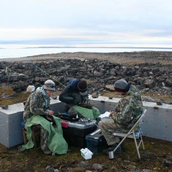 3 students doing fieldwork sitting together recording data / results wearing hats and warm clothing