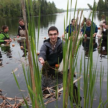 students in river doing sampling looking through tall grass