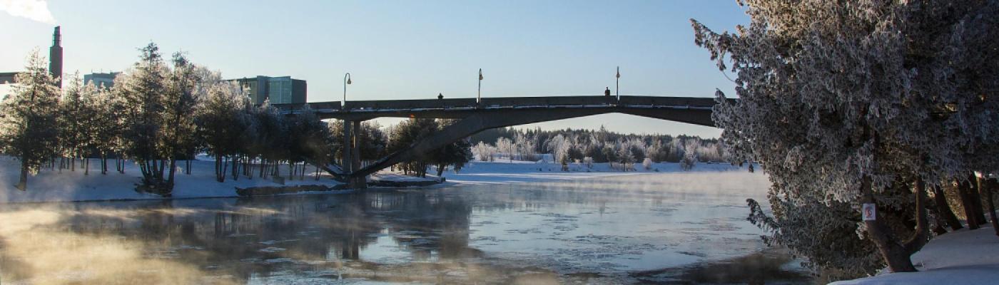 The Faryon bridge across the Otonabee river on a sonwy winter's morning