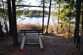 bench along trent canal nature area walk
