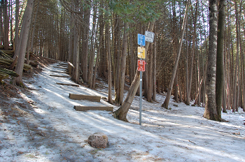 trent nature area trail in winter