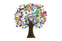 Trent International Program Celebration & Dinner